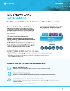 Die Snowflake Data Cloud brochure image areto