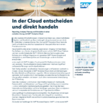 Flipbook SAP Analytics Cloud Image