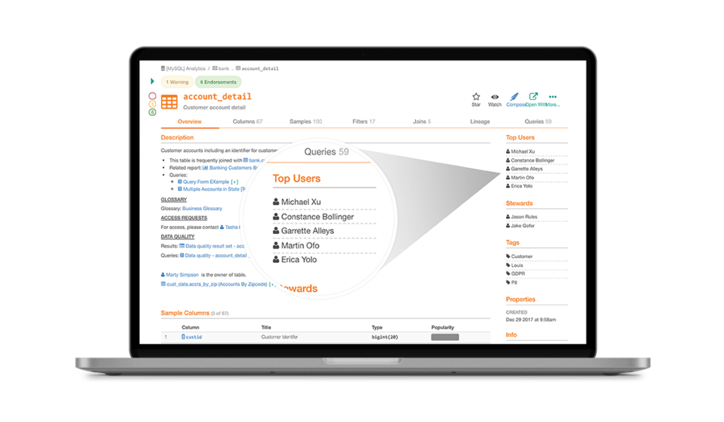 Surface Intelligence alation data catalog areto