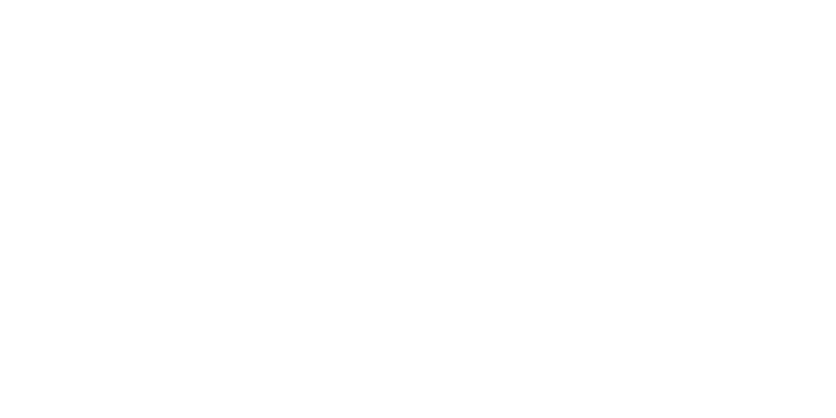 areto MSFT Partner Badge 1c transparent white