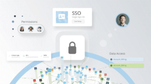 areto Partner DOMO data governance