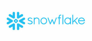 areto Partner Snowflake Logo